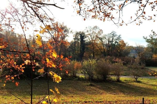 plot for sale, 296 m², Nürnberg plot for sale, 296 m², Nürnberg