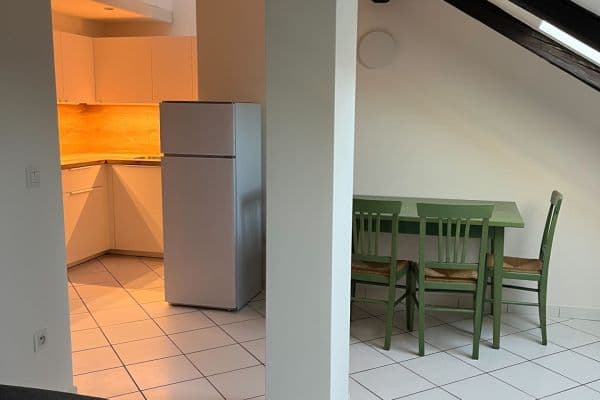 1 bedroom with open-plan kitchen flat to rent, 50 m², Jana Zajíce, Hlavní město Praha 1 bedroom with open-plan kitchen flat to rent, 50 m², Jana Zajíce, Hlavní město Praha