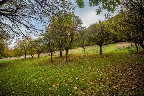 plot for sale, 13,313 m², Trnava plot for sale, 13,313 m², Trnava