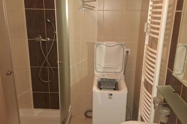 1 bedroom with open-plan kitchen flat to rent, 54 m², Štefánikova, Plzeň 1 bedroom with open-plan kitchen flat to rent, 54 m², Štefánikova, Plzeň