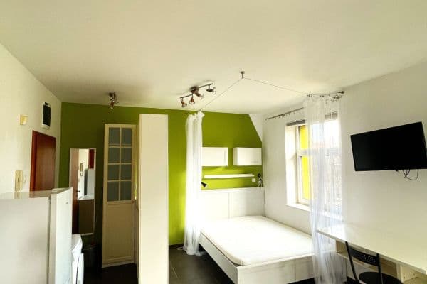 Studio flat to rent, 30 m², V Olšinách, Hlavní město Praha Studio flat to rent, 30 m², V Olšinách, Hlavní město Praha