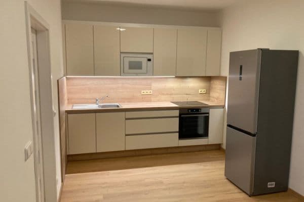 1 bedroom with open-plan kitchen flat to rent, 50 m², U Jezerky, Praha 1 bedroom with open-plan kitchen flat to rent, 50 m², U Jezerky, Praha
