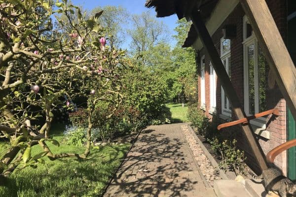 house for sale, 350 m², Hagen house for sale, 350 m², Hagen