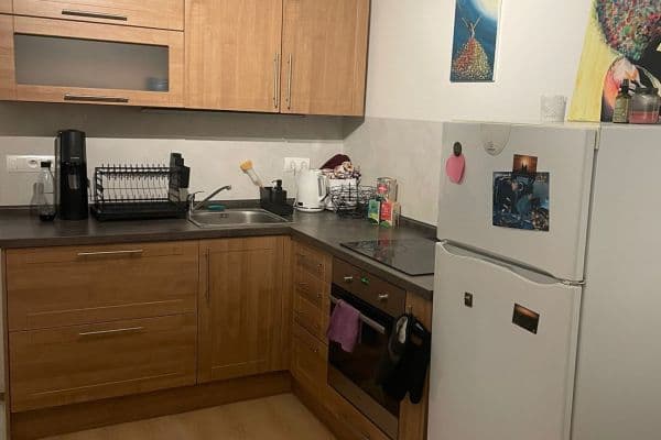 1 bedroom with open-plan kitchen flat to rent, 39 m², Bryksova, Praha 1 bedroom with open-plan kitchen flat to rent, 39 m², Bryksova, Praha