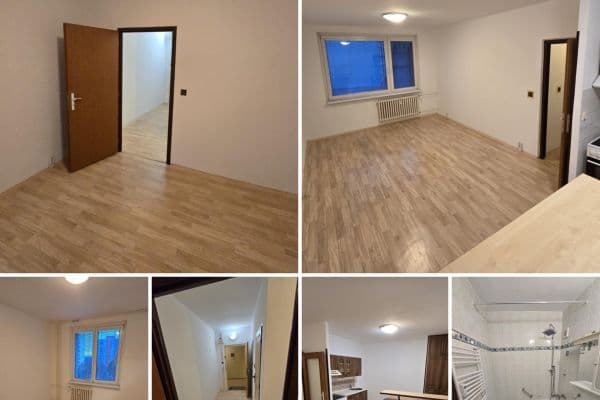 1 bedroom with open-plan kitchen flat to rent, 50 m², Oblá, Brno 1 bedroom with open-plan kitchen flat to rent, 50 m², Oblá, Brno