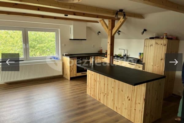 1 bedroom with open-plan kitchen flat to rent, 65 m², Šroubárenská, České Budějovice 1 bedroom with open-plan kitchen flat to rent, 65 m², Šroubárenská, České Budějovice