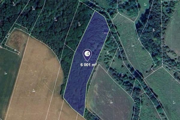 plot for sale, 6,001 m², plot for sale, 6,001 m²,
