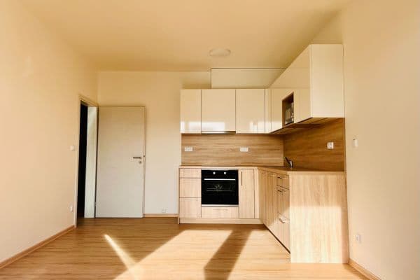 2 bedroom with open-plan kitchen flat to rent, 65 m², České Vrbné, České Budějovice 2 bedroom with open-plan kitchen flat to rent, 65 m², České Vrbné, České Budějovice