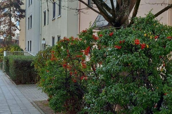 2 bedroom flat for sale, 63 m², Nürnberg 2 bedroom flat for sale, 63 m², Nürnberg