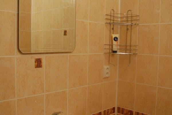 1 bedroom with open-plan kitchen flat to rent, 56 m², Karla IV., Pardubice 1 bedroom with open-plan kitchen flat to rent, 56 m², Karla IV., Pardubice