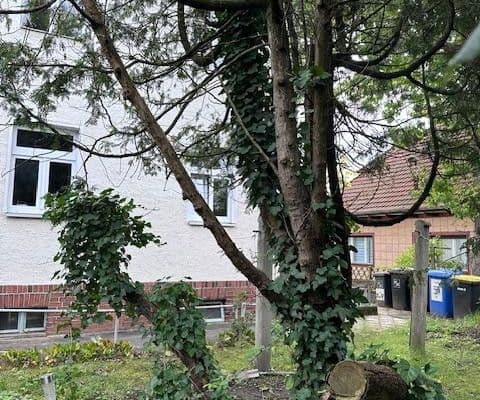 plot for sale, 1,069 m², Berlin-Mahlsdorf, Berlin plot for sale, 1,069 m², Berlin-Mahlsdorf, Berlin