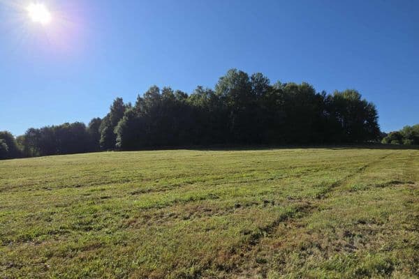 Plot for sale Plot for sale