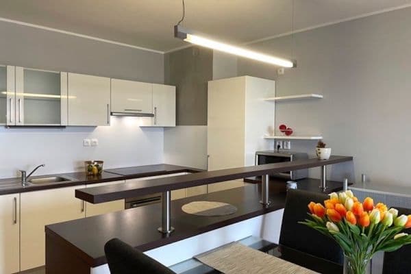 1 bedroom with open-plan kitchen flat to rent, 79 m², Třeboňská, Praha 1 bedroom with open-plan kitchen flat to rent, 79 m², Třeboňská, Praha