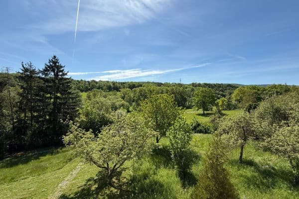 plot for sale, 1,904 m², Svinaře plot for sale, 1,904 m², Svinaře