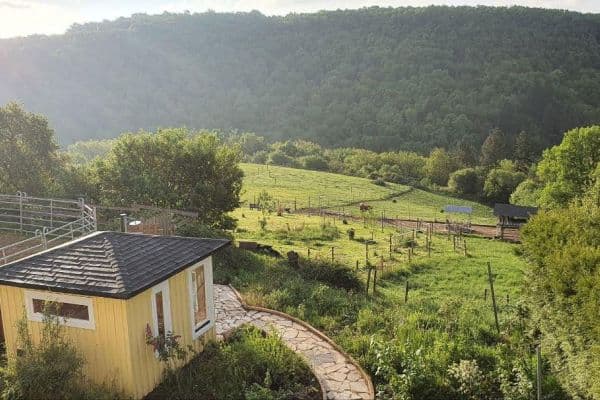 House for sale House for sale