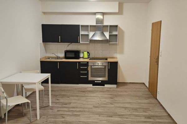 1 bedroom with open-plan kitchen flat to rent, 48 m², Pod Harfou, Praha 1 bedroom with open-plan kitchen flat to rent, 48 m², Pod Harfou, Praha