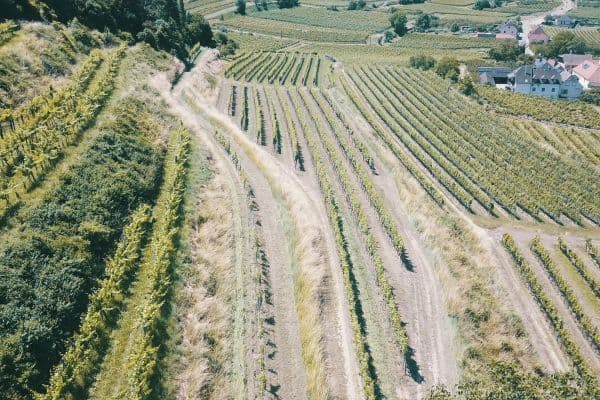 plot for sale, 3,596 m², Mitterarnsdorf plot for sale, 3,596 m², Mitterarnsdorf