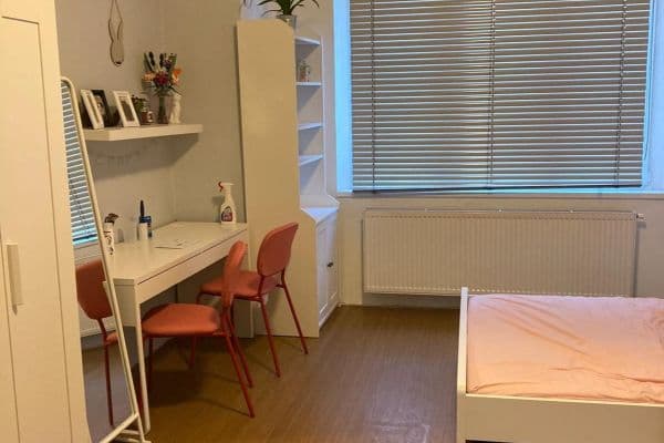 1 bedroom with open-plan kitchen flat to rent, 40 m², Na Jezerce, Praha 1 bedroom with open-plan kitchen flat to rent, 40 m², Na Jezerce, Praha