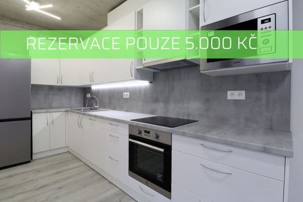 1 bedroom with open-plan kitchen flat to rent, 49 m², Kamenická, Plzeň, Plzeňský Region 1 bedroom with open-plan kitchen flat to rent, 49 m², Kamenická, Plzeň, Plzeňský Region