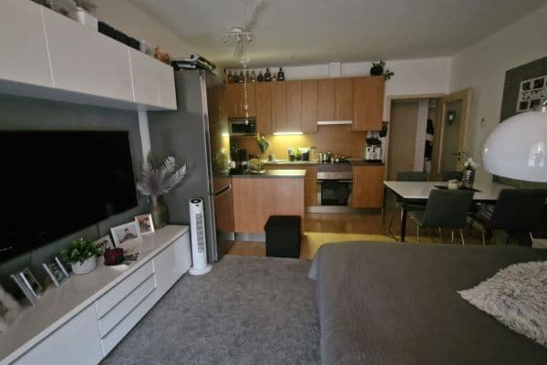 1 bedroom with open-plan kitchen flat to rent, 52 m², Říčanská, Brno 1 bedroom with open-plan kitchen flat to rent, 52 m², Říčanská, Brno