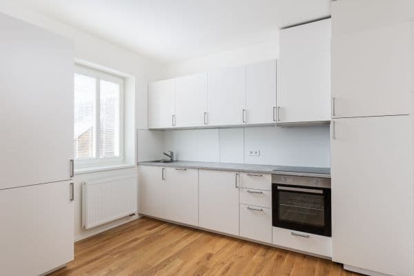 1 bedroom with open-plan kitchen flat to rent, 30 m², Plzeňská, 1 bedroom with open-plan kitchen flat to rent, 30 m², Plzeňská,