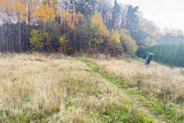 plot for sale, 1,623 m², Janovice plot for sale, 1,623 m², Janovice