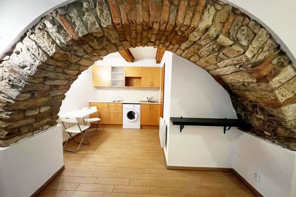 1 bedroom with open-plan kitchen flat to rent, 27 m², Družstevní, 1 bedroom with open-plan kitchen flat to rent, 27 m², Družstevní,