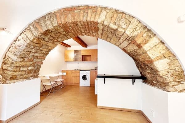 1 bedroom with open-plan kitchen flat to rent, 27 m², Družstevní, 1 bedroom with open-plan kitchen flat to rent, 27 m², Družstevní,