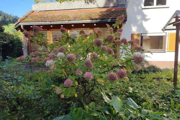 3 bedroom with open-plan kitchen flat for sale, 152 m², Waldkirch 3 bedroom with open-plan kitchen flat for sale, 152 m², Waldkirch