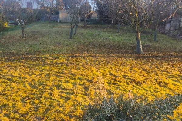 plot for sale, 550 m², Veltěže plot for sale, 550 m², Veltěže