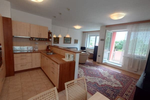 1 bedroom with open-plan kitchen flat to rent, 70 m², Trýbova, Brno 1 bedroom with open-plan kitchen flat to rent, 70 m², Trýbova, Brno