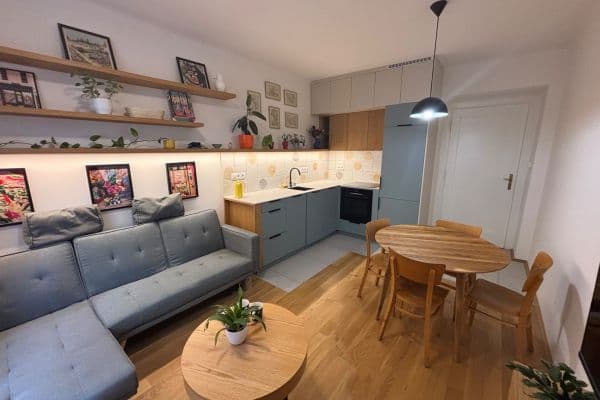 1 bedroom with open-plan kitchen flat to rent, 50 m², Baranova, Praha 1 bedroom with open-plan kitchen flat to rent, 50 m², Baranova, Praha