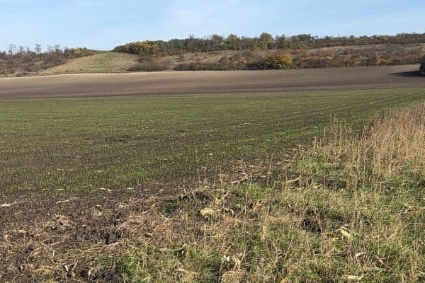 plot for sale, 2,534 m², Nedomice plot for sale, 2,534 m², Nedomice