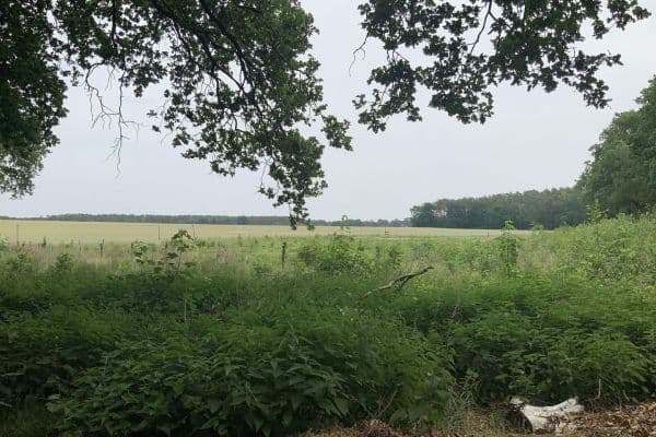 plot for sale, 19,700 m², Schulzendorf plot for sale, 19,700 m², Schulzendorf