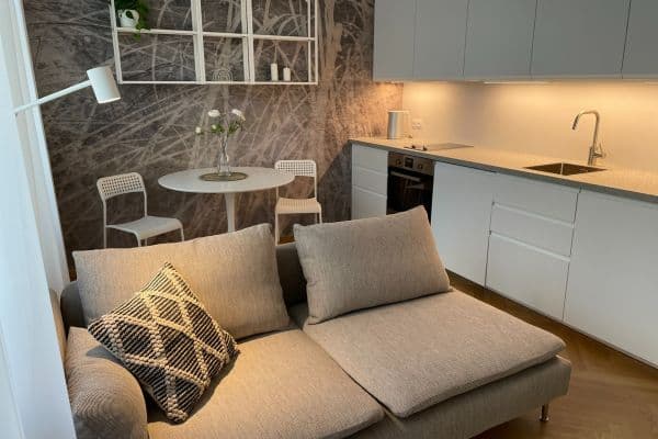 1 bedroom with open-plan kitchen flat to rent, 41 m², Bořivojova, Praha 1 bedroom with open-plan kitchen flat to rent, 41 m², Bořivojova, Praha