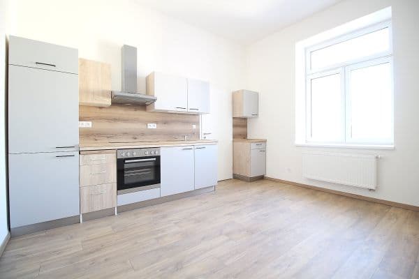 1 bedroom with open-plan kitchen flat to rent, 58 m², S. K. Neumanna, 1 bedroom with open-plan kitchen flat to rent, 58 m², S. K. Neumanna,