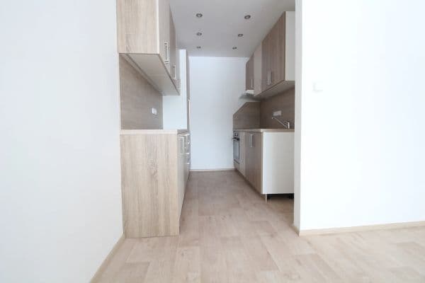 1 bedroom with open-plan kitchen flat to rent, 45 m², Marie Pujmanové, 1 bedroom with open-plan kitchen flat to rent, 45 m², Marie Pujmanové,