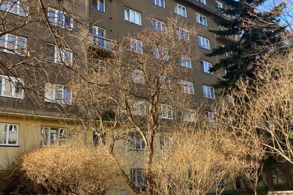 3 bedroom flat to rent, 72 m², Lvovská, Praha 3 bedroom flat to rent, 72 m², Lvovská, Praha