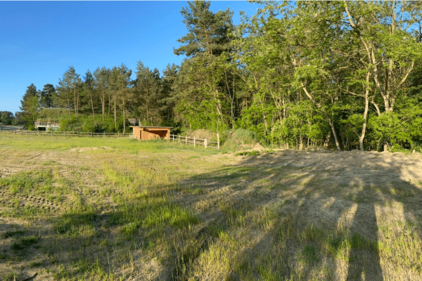 plot for sale, 2,700 m², Lindenstraße 15, Neuhardenberg, Brandenburg plot for sale, 2,700 m², Lindenstraße 15, Neuhardenberg, Brandenburg