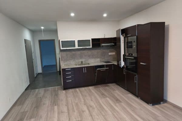 1 bedroom with open-plan kitchen flat to rent, 49 m², U Luk, Tišice 1 bedroom with open-plan kitchen flat to rent, 49 m², U Luk, Tišice