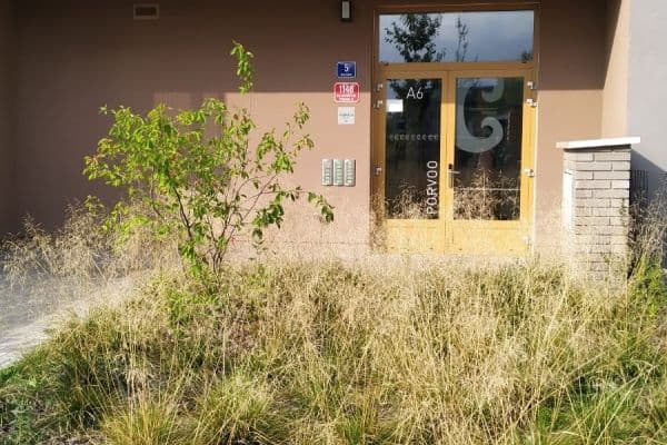 Studio flat to rent, 34 m², Waltariho, Praha Studio flat to rent, 34 m², Waltariho, Praha