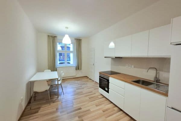 1 bedroom with open-plan kitchen flat to rent, 47 m², Na Žertvách, Praha 1 bedroom with open-plan kitchen flat to rent, 47 m², Na Žertvách, Praha