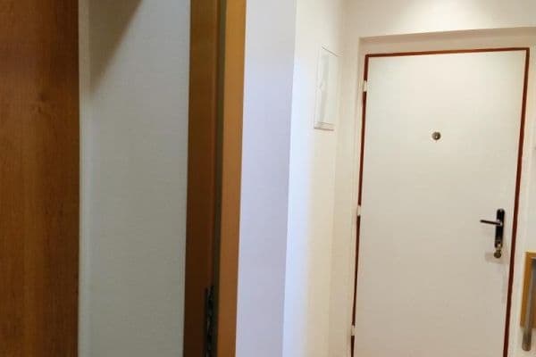 1 bedroom with open-plan kitchen flat to rent, 48 m², K. H. Máchy, Příbram 1 bedroom with open-plan kitchen flat to rent, 48 m², K. H. Máchy, Příbram