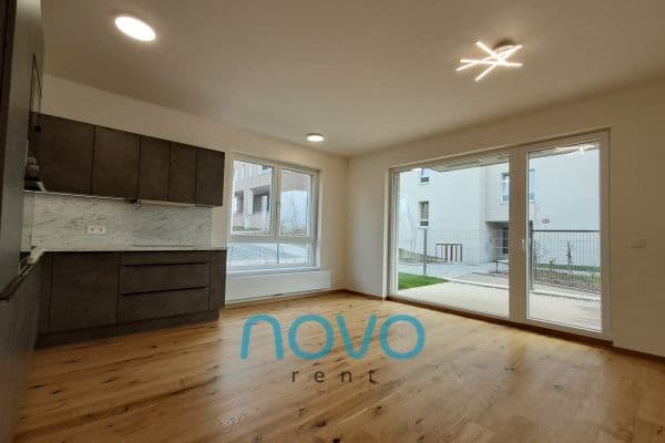 1 bedroom with open-plan kitchen flat to rent, 49 m², Kolmanova, Praha 1 bedroom with open-plan kitchen flat to rent, 49 m², Kolmanova, Praha