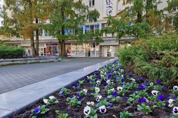 non-residential property to rent, 66 m², nám. Republiky, non-residential property to rent, 66 m², nám. Republiky,