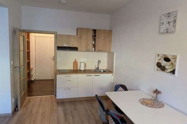 1 bedroom with open-plan kitchen flat to rent, 40 m², Purkyňova, Mikulov 1 bedroom with open-plan kitchen flat to rent, 40 m², Purkyňova, Mikulov