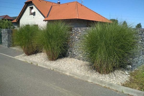 recreational property to rent, 0 m², Pržno, Moravskoslezský Region recreational property to rent, 0 m², Pržno, Moravskoslezský Region