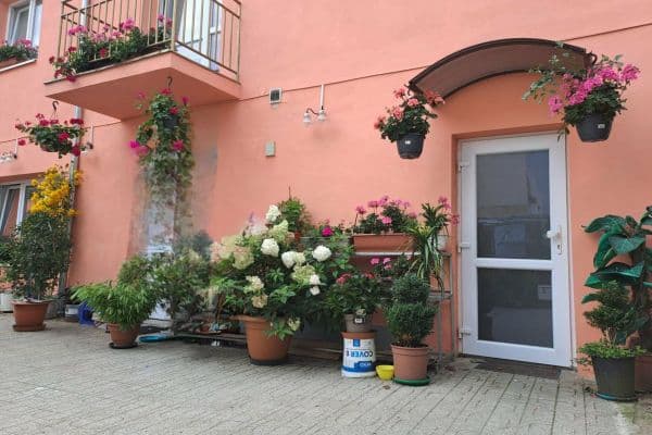 2 bedroom flat to rent, 45 m², Masarykovo nám., Přeštice 2 bedroom flat to rent, 45 m², Masarykovo nám., Přeštice