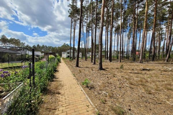 plot for sale, 1,081 m², Olof Palme Ring, Borkwalde plot for sale, 1,081 m², Olof Palme Ring, Borkwalde