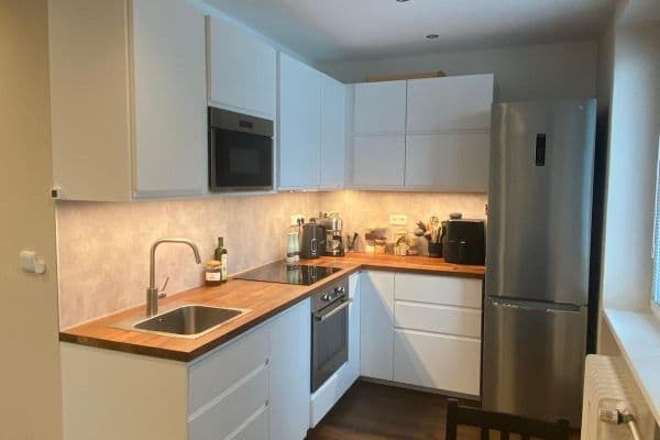 1 bedroom with open-plan kitchen flat to rent, 55 m², Rybářská, Brno 1 bedroom with open-plan kitchen flat to rent, 55 m², Rybářská, Brno